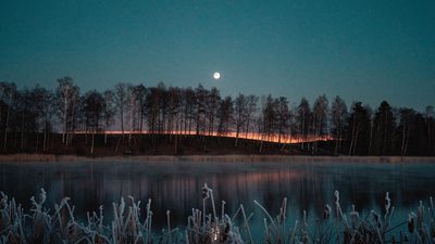Меркурий яркой точкой над силуэтом осенних берёз и туманным озером перед рассветом