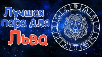 Совместимость знаков: лучший партнёр для Льва
