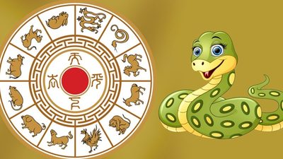 Восточная астрология: год Змеи 2025 — характер года и личные акценты