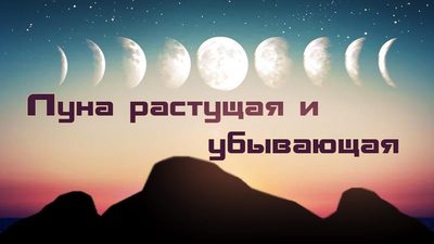 Лунные дни и продуктивность