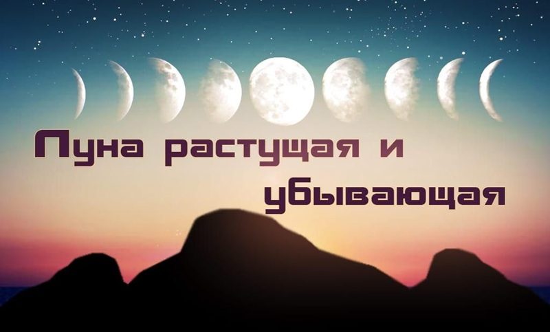 Лунные дни и продуктивность
