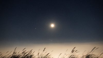 Венера во Льве, тёплый золотистый свет и образ смелости быть увиденной